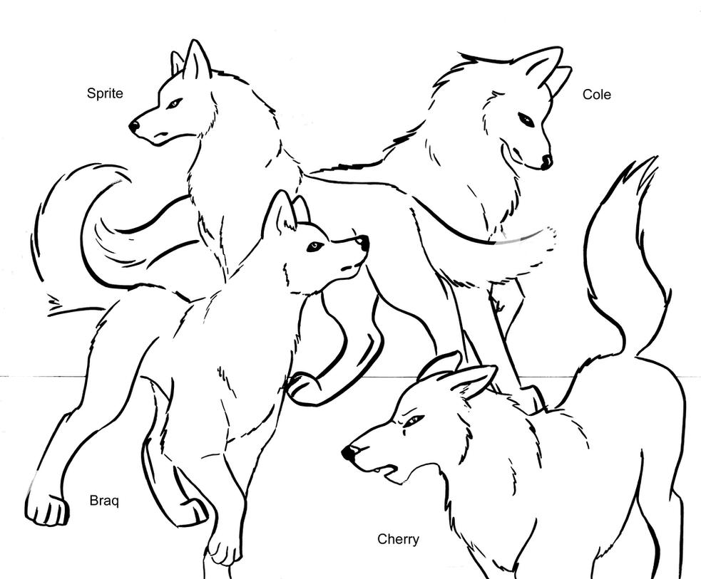 Wolves For Coloring  Dark Brown Hairs