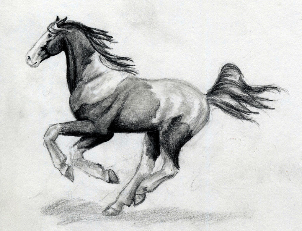 pianted horse running by SpottedPegasus on DeviantArt