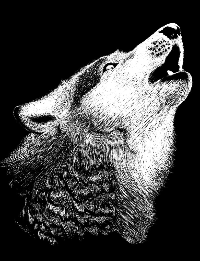 Wolf Scratch Art