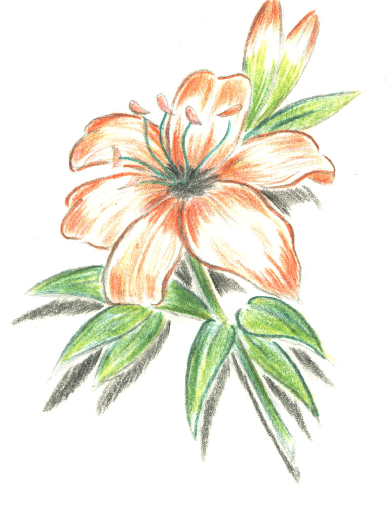 Chinese flower - flower tattoo