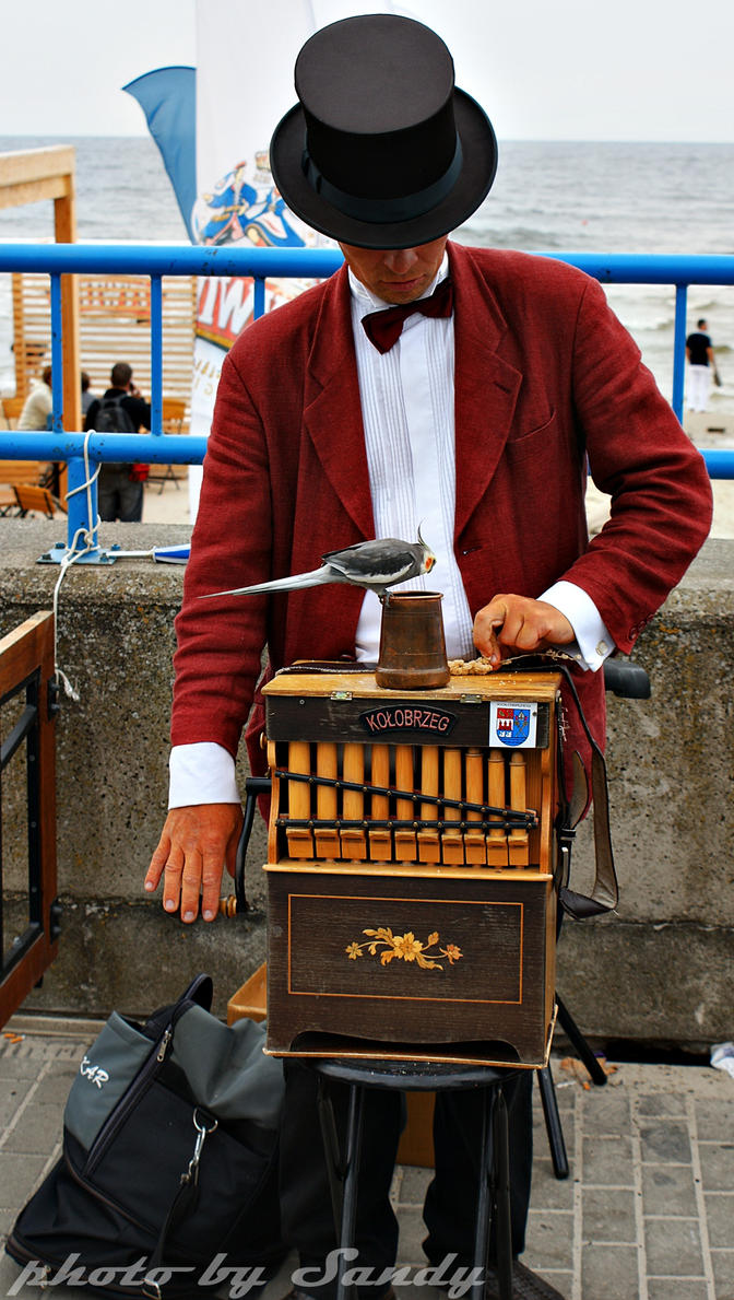 clipart organ grinder - photo #45