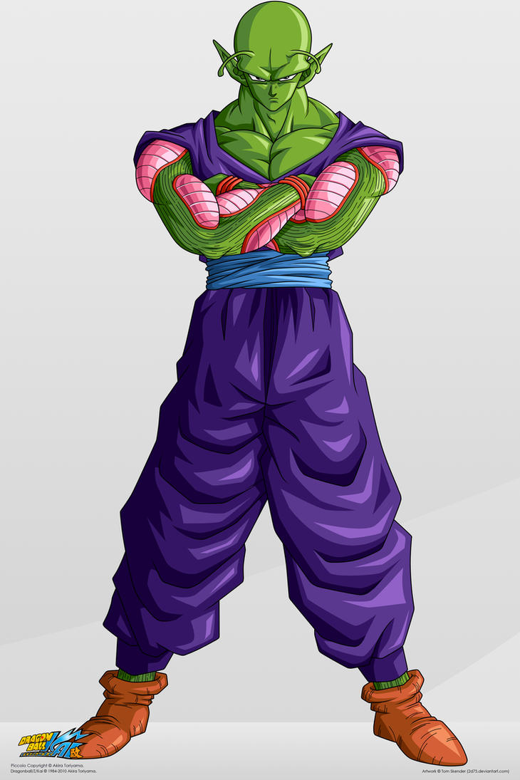 Piccolo___Commision__by_2D75.jpg