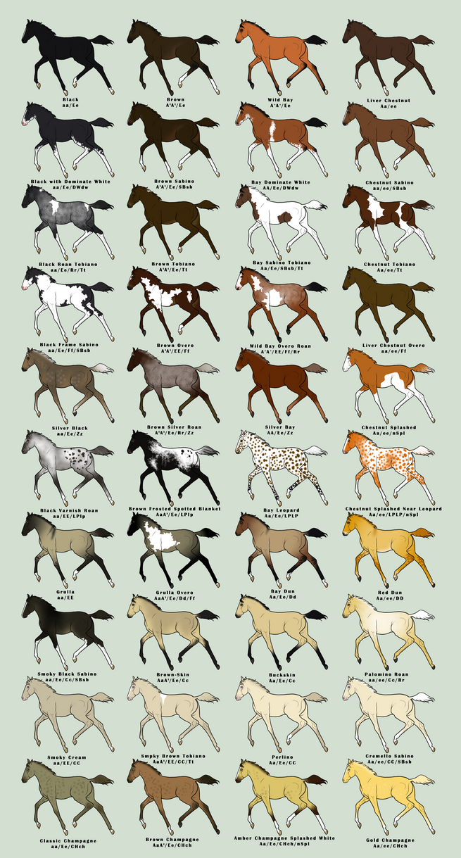 mustang_foal_imports_by_jnferrigno-d30tdcx.png