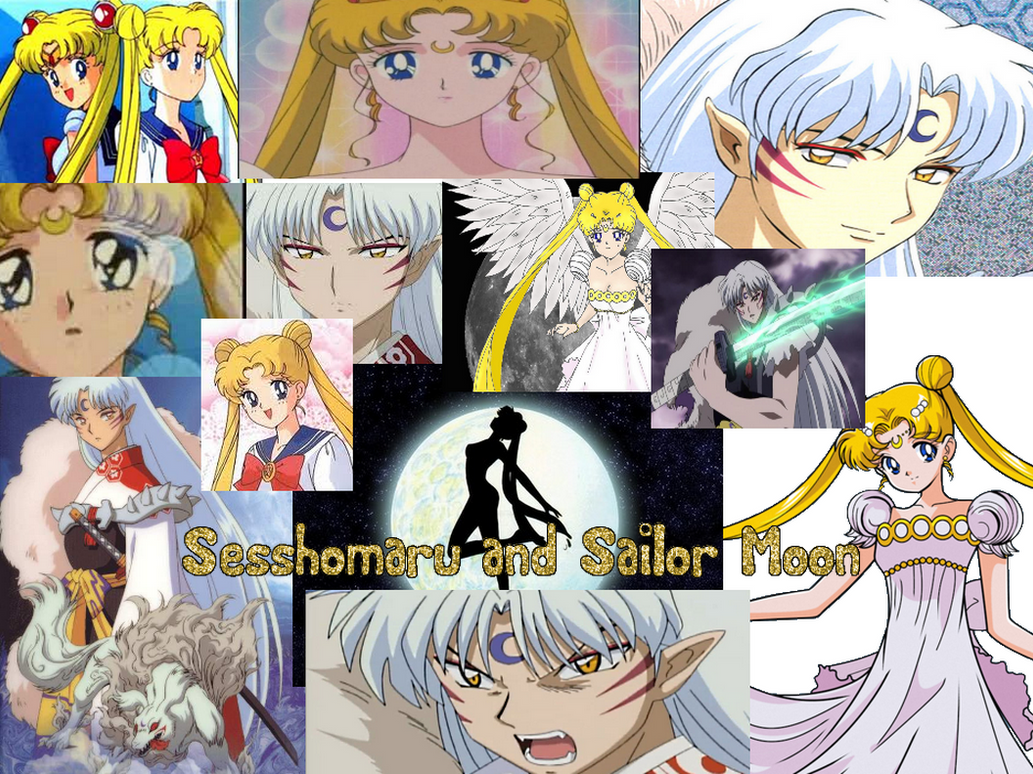 sailor_moon_and_sesshomaru_by_ladysesshy-d75tv8p.png