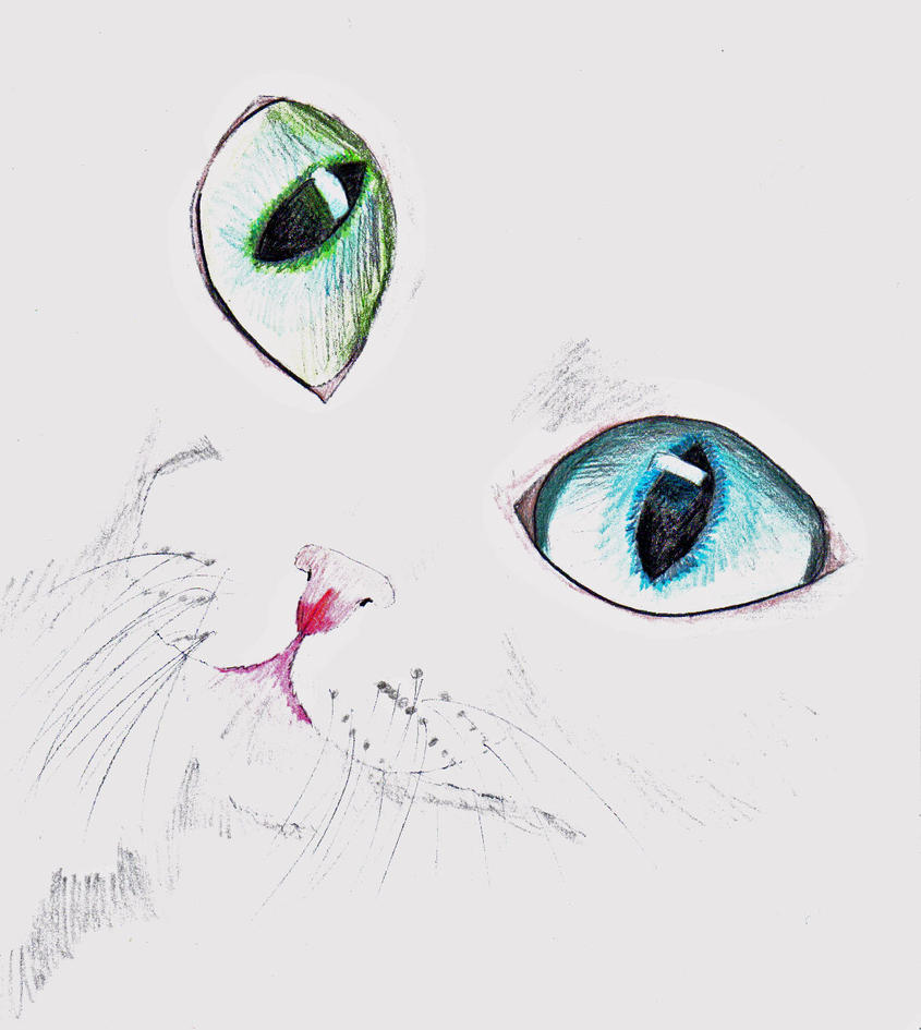 White Cat Face Drawing by Meorow on deviantART
