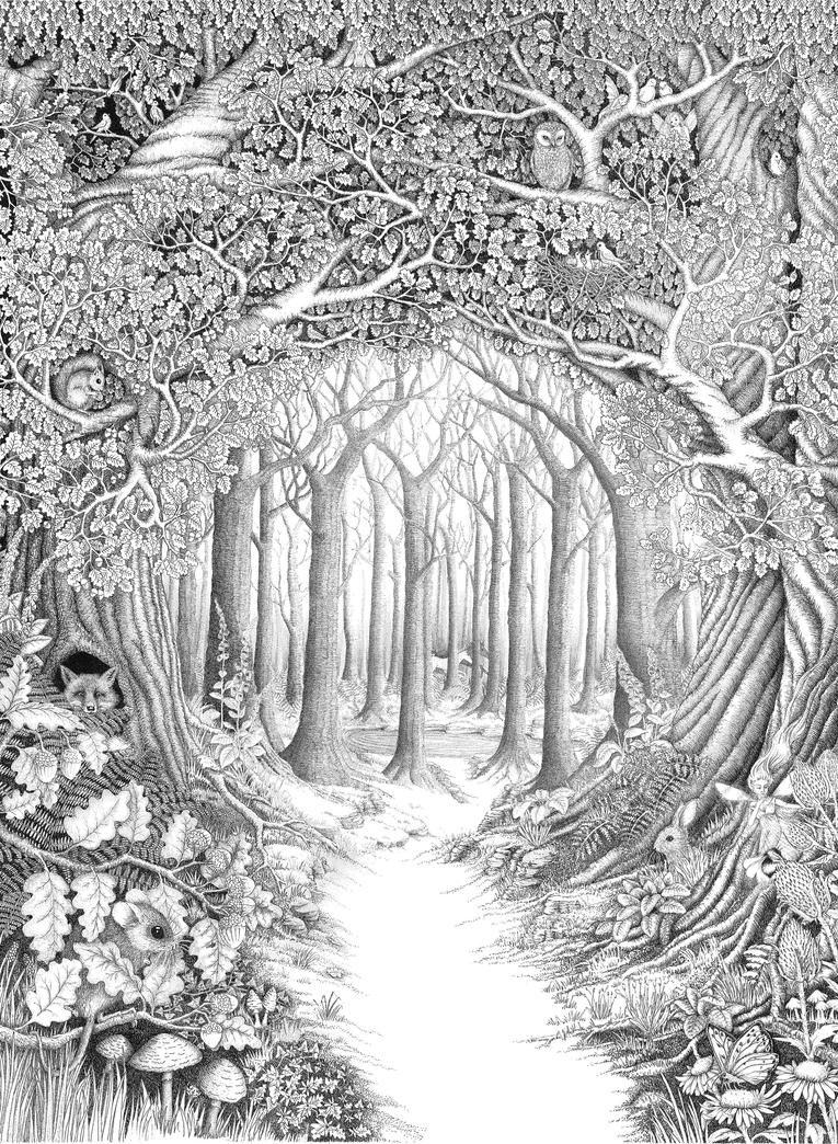 the enchanted forest coloring pages - photo #1