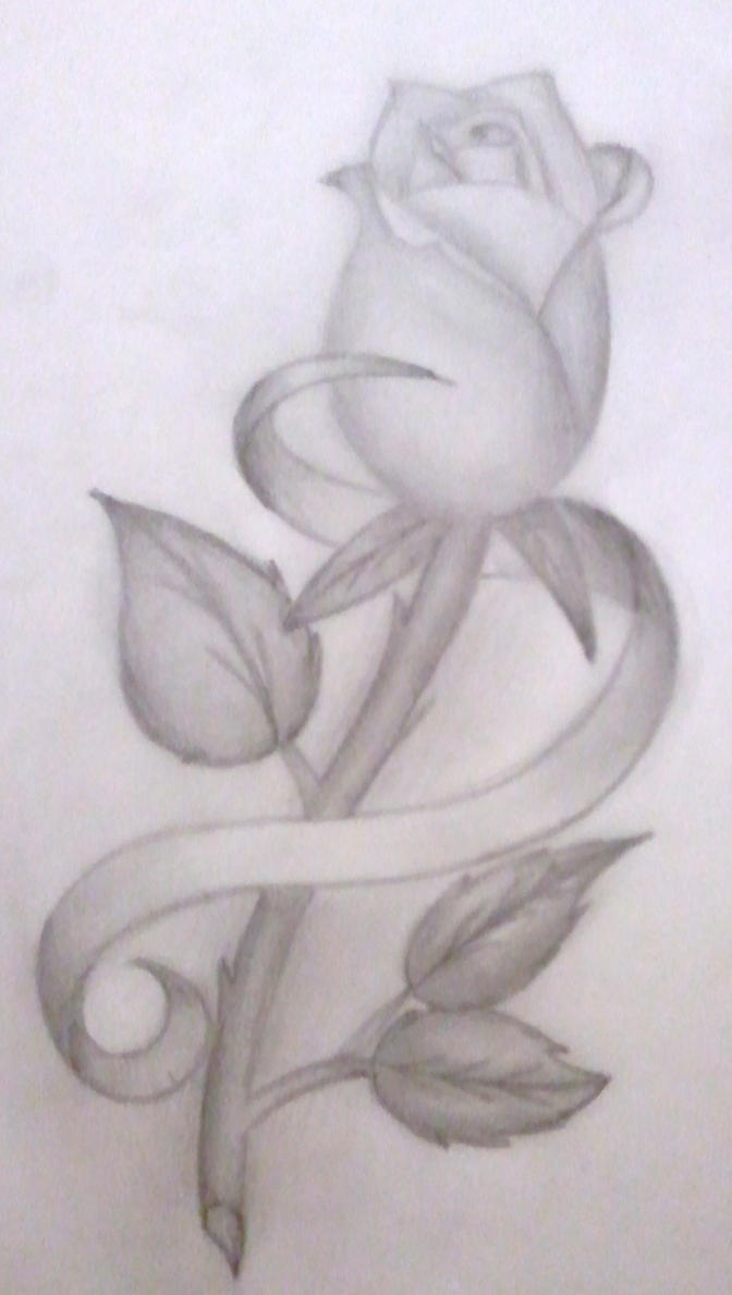 Rose Tattoo Drawing by