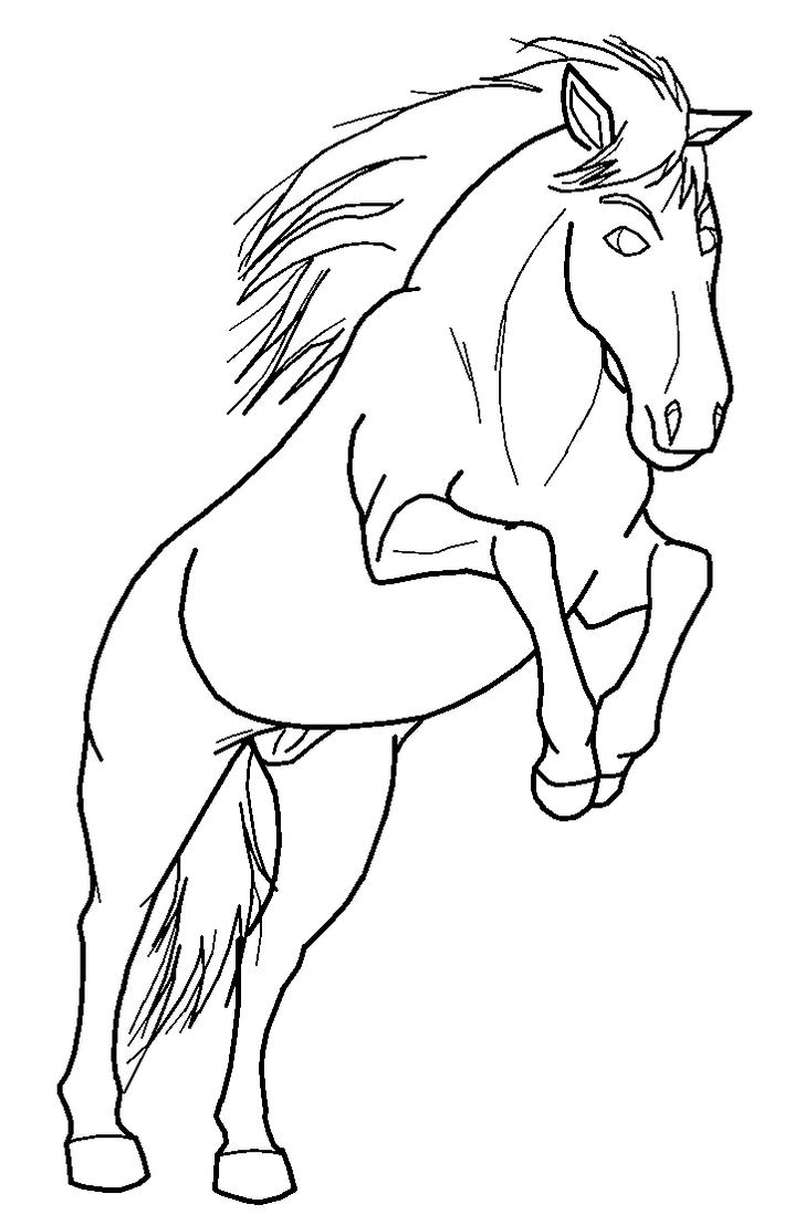 Stallion Jumping Line Art by purapuss on DeviantArt