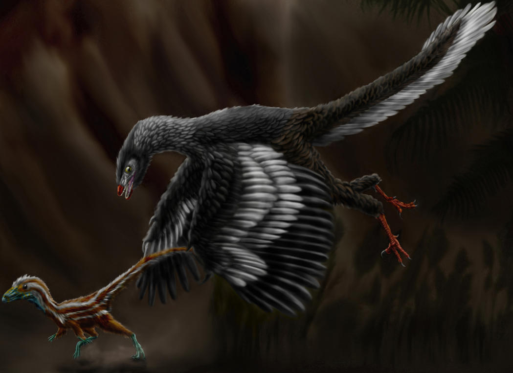 Archaeopteryx litographica by Durbed on DeviantArt