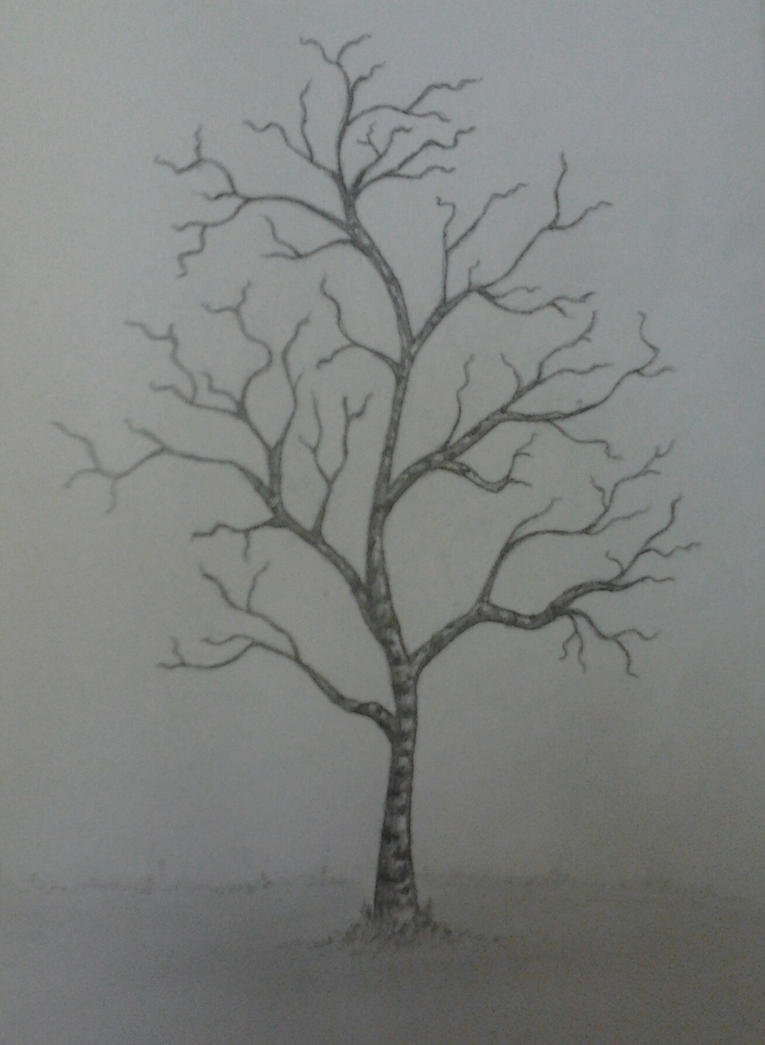 Tree without leaves by ilinea on DeviantArt